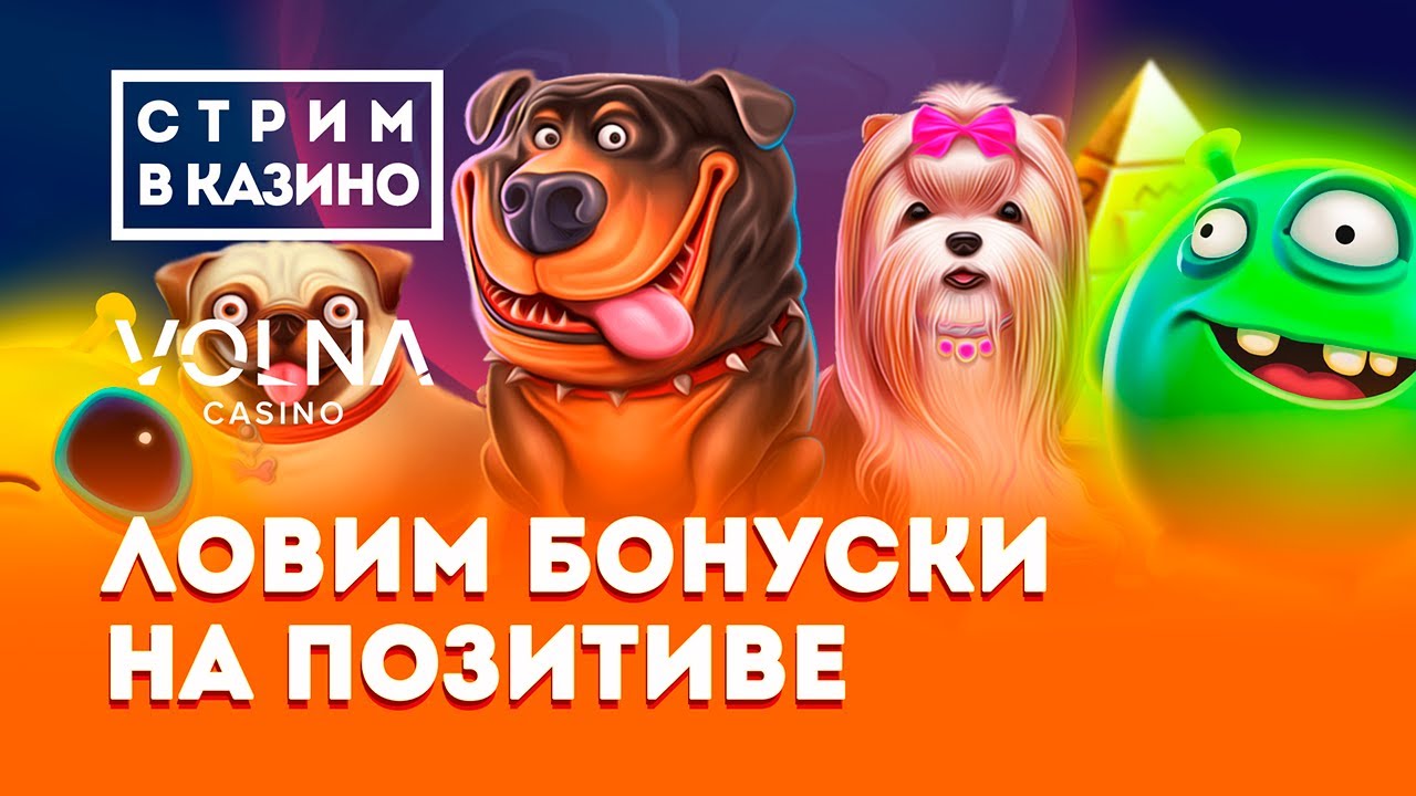 ЗАНОСИМ ШО ДУРНЫЕ В КАЗИНО ОНЛАЙН ЗАНОСИМ ШО ДУРНЫЕ В КАЗИНО ОНЛАЙН