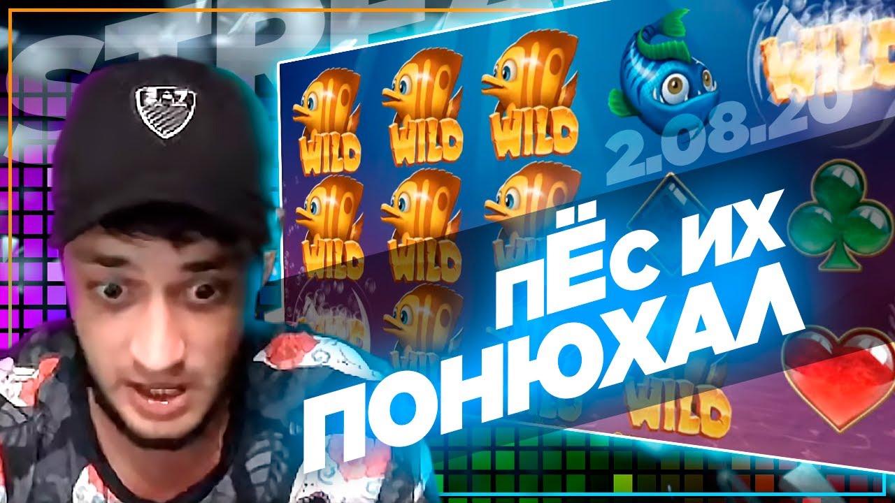 Казино онлайн Rox / Royal Combat / Квест book of Казино онлайн Rox / Royal Combat / Квест book of