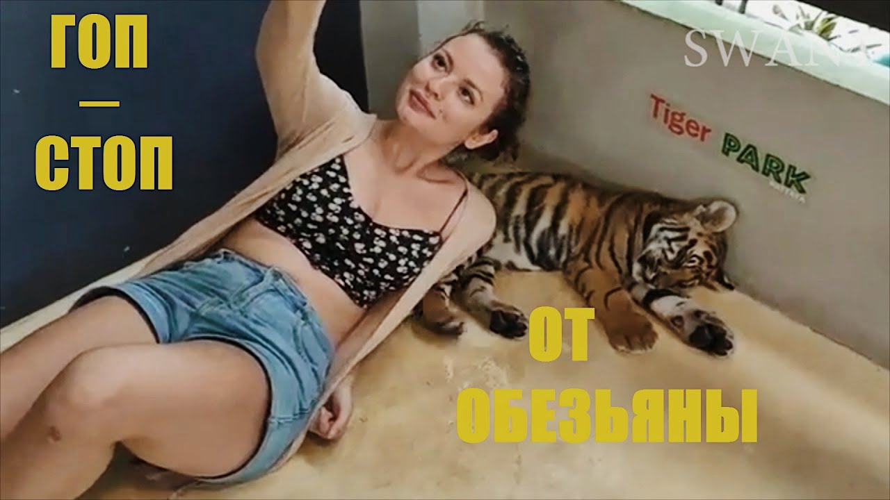 ТАМАРА НА ОХОТЕ! НАС ГОПНУЛА ОБЕЗЬЯНА!!